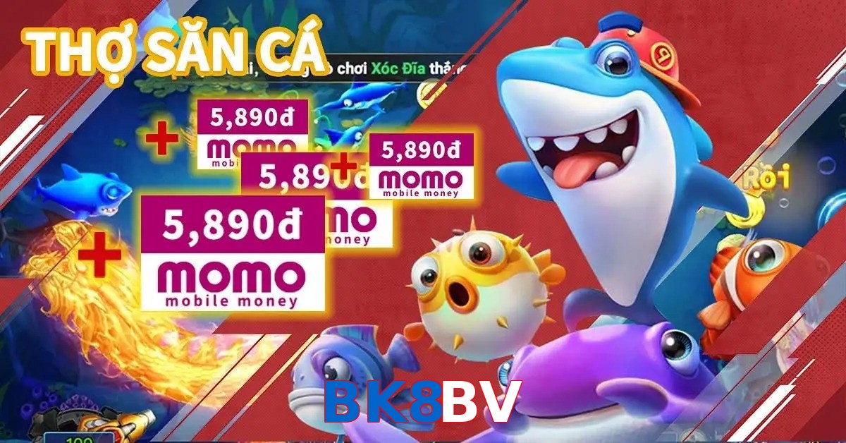 BK8BV