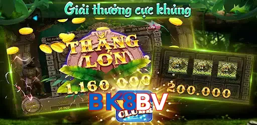 BK8BV