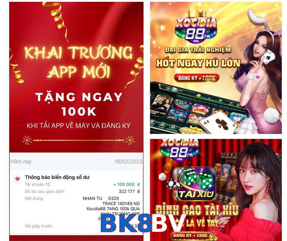 BK8BV